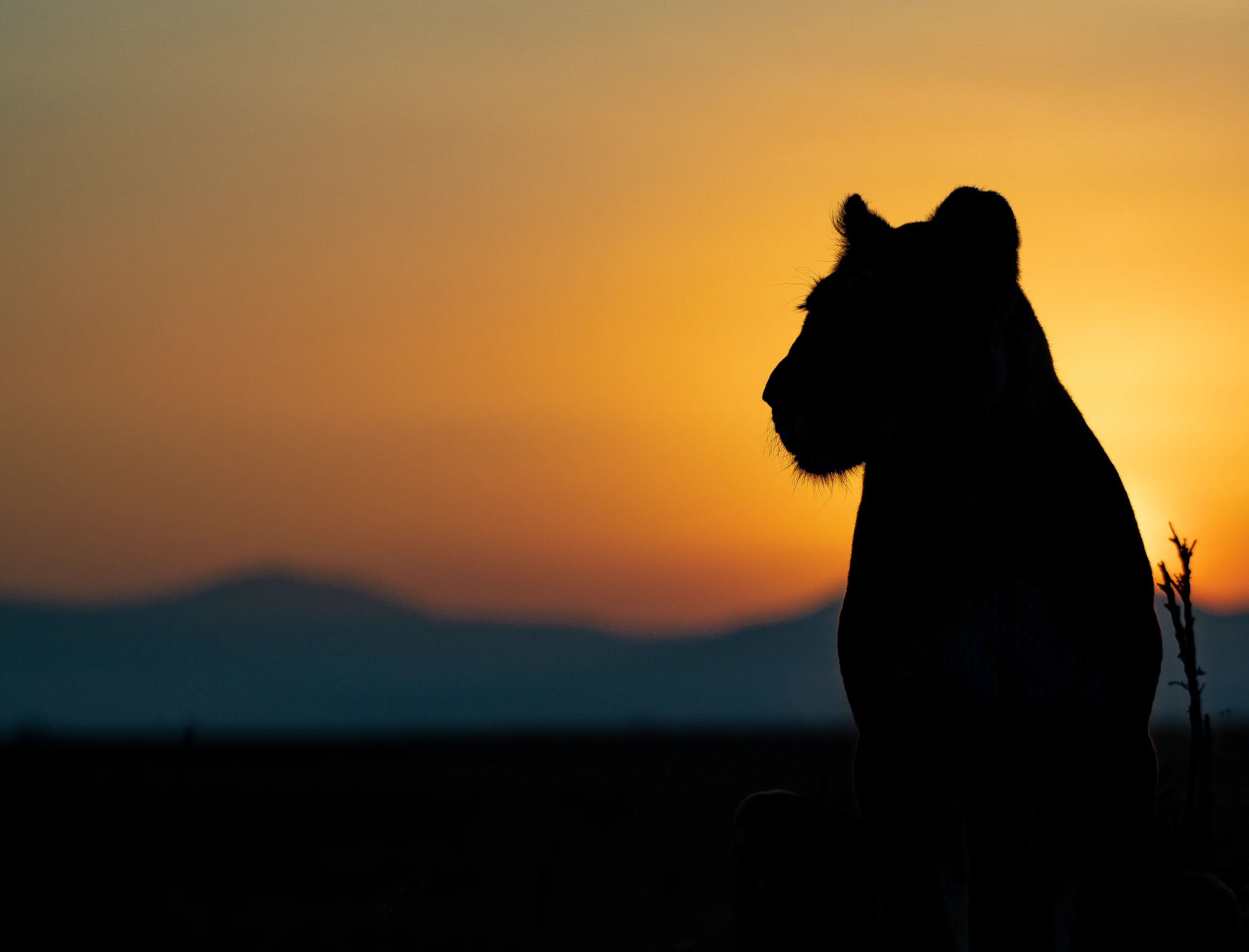 Kenya travel packages Safari tours Kenya Best travel agency in Kenya Kenya adventure travel Explore Kenya tours Maasai Mara safaris Nairobi city tours Amboseli National Park trips Lake Nakuru tours Mount Kenya hiking tours Luxury safaris Kenya Budget travel Kenya Family vacations in Kenya Honeymoon packages Kenya Cultural tours in Kenya Wildlife safaris in Kenya Eco-friendly travel Kenya Beach holidays Kenya Adventure sports Kenya Historical tours Kenya Kenya travel guide Best time to visit Kenya Kenya travel tips Kenya visa information Kenya travel itinerary American tourists in Kenya European travel to Kenya Traveling to Kenya from the USA Traveling to Kenya from Europe Group travel to Kenya Kenya wildlife prints African landscape photography Safari photo prints Kenya travel art Wall art Kenya photography Maasai Mara prints Nairobi skyline photos Sunset photography Kenya Beach prints from Kenya Mount Kenya art prints Buy Kenya photo prints Online photo prints Kenya Framed Kenya photos Canvas prints Kenya Limited edition wildlife prints Unique gifts from Kenya Art prints for travel lovers Photography gifts for nature enthusiasts Home decor Kenya photography Travel-inspired wall art Fine art Kenya photography Nature photography prints Wildlife portrait prints Photography collections Kenya Eco-friendly photo prints Kenya Safari Tours African Safari from USA Kenya Travel Packages Kenya Adventure Travel Luxury Safari Kenya Kenya Wildlife Tours Kenya Beach Holidays Kenya Cultural Tours Kenya Travel Deals USA Kenya Safari Booking Kenya Travel Experts Kenya Safari Vacation Kenya Honeymoon Packages Kenya National Parks Tours Kenya Travel Agency USA Kenya Safari Tours from Europe European Travelers Kenya Safari Kenya Travel Packages Europe Kenya Adventure Travel Europe Luxury Safari Kenya Europe Kenya Wildlife Tours Europe Kenya Beach Holidays Europe Kenya Cultural Tours Europe Kenya Travel Deals Europe Kenya Safari Booking Europe Kenya Travel Experts Europe Kenya Safari Vacation Europe Kenya Honeymoon Packages Europe Kenya National Parks Tours Europe Kenya Travel Agency Europe